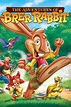 Watch The Adventures of Brer Rabbit (2006) Full Movie Online - Plex