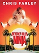 Prime Video: Beverly Hills Ninja