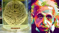 5 Qualities That Made Albert Einstein Genius | Wonders of Physics: A ...