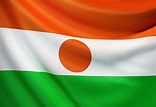 Niger Flag Stock Photos, Pictures & Royalty-Free Images - iStock