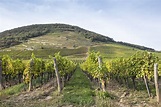 Tokaj Wine Region, Hungary | Winetourism