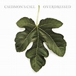 Amazon Music - Caedmon's CallのOverdressed - Amazon.co.jp
