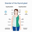 Thyroid Disorders : Overview, Causes, Symptoms, Treatment - illness.com