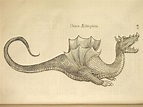 Ulisse Aldrovandi - Dragon, Draco Aethiopicus | Old dragon ...