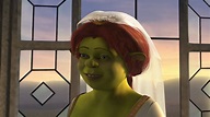 Imagen - 1224347 1369878414698 full.jpg | Shrek Wiki | FANDOM powered ...