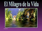 El Milagro De La Vida