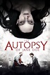 The Autopsy of Jane Doe (2016) - Translations — The Movie Database (TMDb)