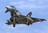 Download Warplane Aircraft Jet Fighter Military Eurofighter Typhoon HD ...