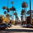 Beverly Hills - Der Wohnort der Stars - USA-Info.net