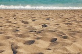 Mare, sabbia e dune immagine stock. Immagine di immagine - 33317153