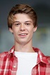 Colin Ford — The Movie Database (TMDB)