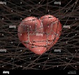 Heart with barbed wire, illustration Stock Photo - Alamy
