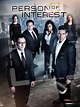 Watch Person of Interest online free