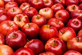 25 Types of Apples (Names) - Parade