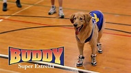 Buddy super estrella (1997) - Netflix | Flixable