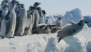 Frozen Planet II: all about the technology - Televisual