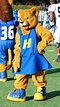 Hofstra team mascot | Keith Lovett | Flickr