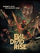 “Evil Dead Rise” is a bloody good time – The Shield