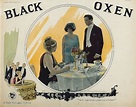 Black Oxen (1923)