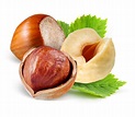 Hazelnuts Facts, Health Benefits and Nutritional Value