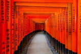 Fushimi Inari-taisha shrine gates Kyoto. Japanese Photography ...