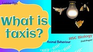 What is taxis? | Animal Behaviour | HSC Biology | Ladder Tips - YouTube