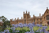 Contact us - The University of Sydney