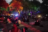 Alista el mantel y lánzate al picnic nocturno en Chapultepec