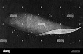 Astronomía, cometas, cometa Donati, 8.10.1858, grabado en madera, 1858 ...