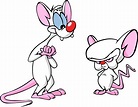 Pinky And The Brain Wallpapers High Quality | Download Free