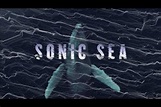 Environmental Film Series: Sonic Sea | Humanities Institute