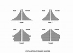Vier Arten Von Bevölkerungspyramiden Auf Weißem Hintergrund Stock ...