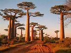 Madagaskar Reisen im September - Reisezeit, Klima, Wetter