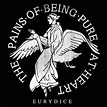 The pains of being pure at heart: Eurydice, la portada de la canción