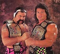 Steiner Brothers join WWE Hall of Fame as ‘greatest tag team of all ...