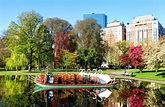 Boston Public Garden: The Complete Guide