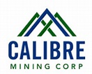 Calibre Mining (TSE:CXB) Trading Up 8.1% - Defense World