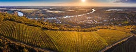 Tokaj – the flagship wine region of Hungary - Vinotek.hu