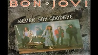 Never Say Goodbye - Bon Jovi [Guitar Backing Track] - YouTube