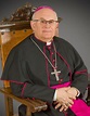El Obispo | Diócesis de Albacete