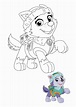 Everest Paw Patrol Coloring Pages Free Printable Colo - vrogue.co