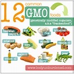9 Most Common Genetically Modified Foods (GMOs) | Body Unburdened ...
