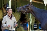 Chad Brown (horse trainer) - Alchetron, the free social encyclopedia