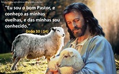 Eu sou o bom Pastor, e conheço as minhas ovelhas - MENSAGEM E FRASE DE ...