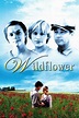 Wildflower (1991 film) - Alchetron, The Free Social Encyclopedia