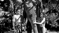 Tarzan and His Mate (1934) - Backdrops — The Movie Database (TMDB)