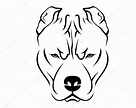 Red Nose Pitbull Drawing at GetDrawings | Free download