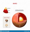 Mars Internal Structure. Cross Section of Planet Stock Vector ...