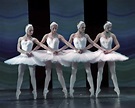 Ballet - Ballet Photo (34359982) - Fanpop