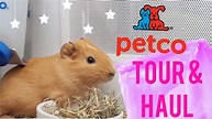 Pictures Of Hamsters At Petco : Ware Home Sweet Home Teal 1 Story ...